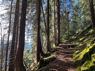 Hiking trails or mountaineering routes in the autumn Swiss Alpine environment and in the Bernese Oberland region, Switzerland - Wanderwege oder Bergrouten in der Schweizer Alpenlandschaft, Schweiz