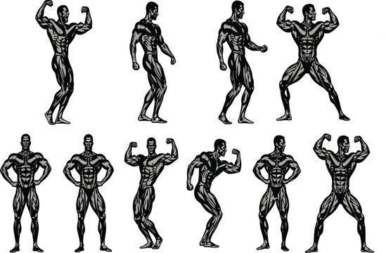 Bodybuilder poses set. Vector illustration collection of a muscular man flexing. Fitness gym icon. Isolated strong athlete.