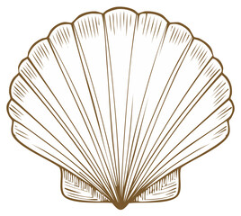 Elegant seashell sketch with radial lines and scalloped edge in sepia tones for a classic nautical aesthetic
