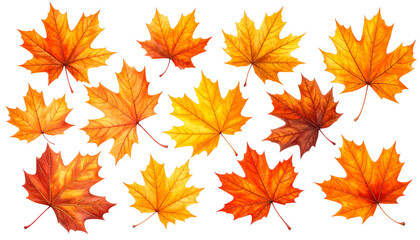 Fototapeta premium Assorted Fall Maple Leaves Set, isolated on transparent background