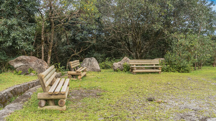 Unpainted log benches on a lawn in a tropical park. Picturesque boulders and green trees. Mauritius. La Vallée Des Couleurs Nature Park