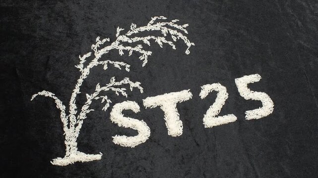Top view 4K loop of "ST25" text and a rice plant stalk, made from raw Vietnamese rice grains. The scene rotates slowly on a minimal black background. Conceptual video.