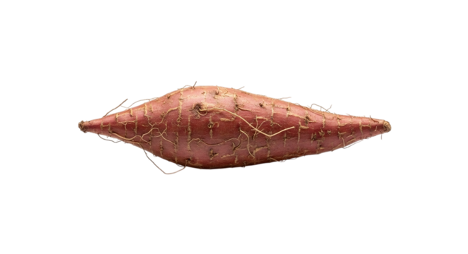 A single purple sweet potato isolated on transparent background, showcasing its unique color and shape, perfect for healthy eating and culinary creativity