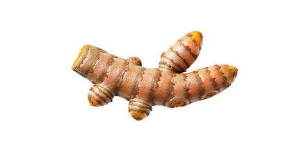 Closeup of a vibrant turmeric rhizome, isolated on transparent background, showcasing its textured skin and potential health benefits in culinary applications
