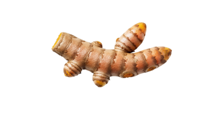 Closeup of a vibrant turmeric rhizome, isolated on transparent background, showcasing its textured skin and potential health benefits in culinary applications