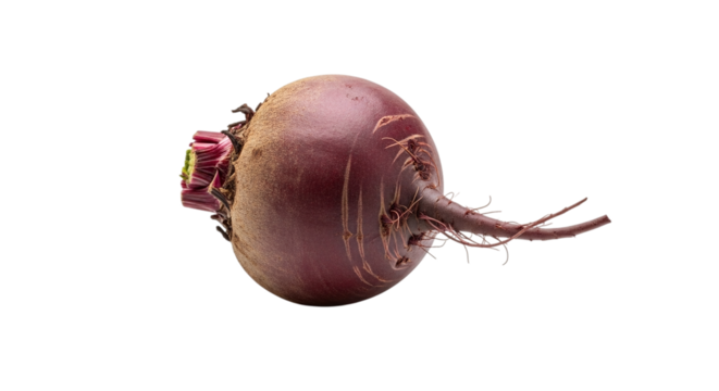 Beetroot isolated on transparent background, a vibrant and nutritious root vegetable, known for its earthy flavor and health benefits