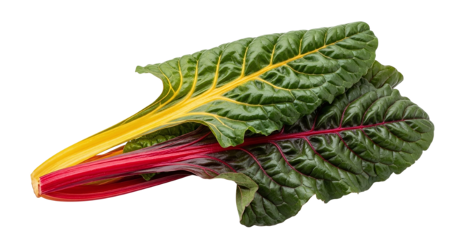 Fresh chard leaf with vibrant colors isolated on transparent background, showcasing its natural beauty and nutritional value for healthy eating