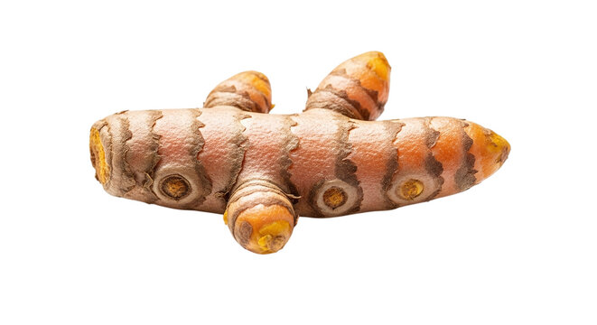 Turmeric root isolated on transparent background, a vibrant spice with medicinal properties and culinary uses in various cuisines
