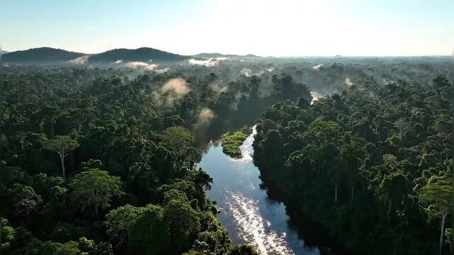 Aerial view of the Amazon rainforest a river winds through the lush canopy creating a scenic landsca