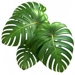 Lush Tropical Monstera Leaves Seamless Botanical Pattern