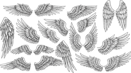 Detailed angel and bird wing set featuring hand-drawn feather designs for fantasy art, tattoo style, decorative elements, cad drawing flat vector illustration