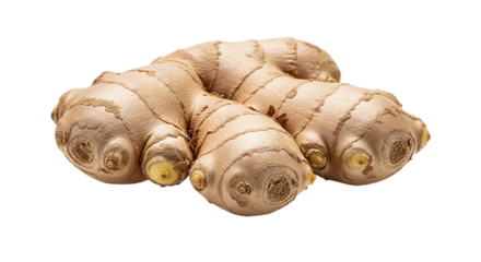 Fresh ginger root, isolated on transparent background, showcasing its unique shape and texture in a studio shot, perfect for culinary use