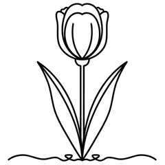 Elegant single tulip flower line art. Minimalist botanical line art illustration for coloring, logo, tattoo.