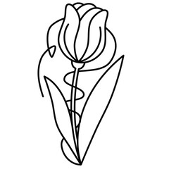 Minimalist tulip flower line art. Simple spring flower illustration, black and white sketch.