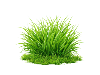 Lush green blades vibrant growth grass natural, Isolated, Png Transparent Background