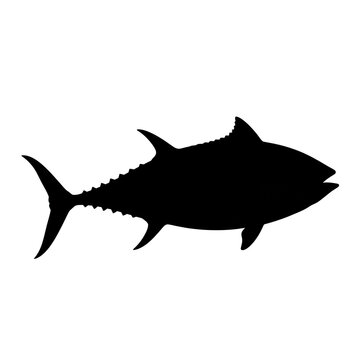 Tuna silhouette
