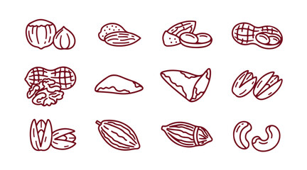 Icons of nuts and seeds. Hazelnut, almond, and peanut. Walnut, Brazil nut, and pistachio icons. Cacao and cashew nuts. Linear collection. Quality line set. Vector.