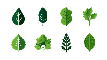 Diverse green leaf icons set. Flat design vector illustrations symbolizing nature, growth, ecology, and organic themes.