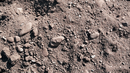 Dry cracked soil texture with dusty rugged earth surface and natural ground detail useful for geology, backgrounds and design work