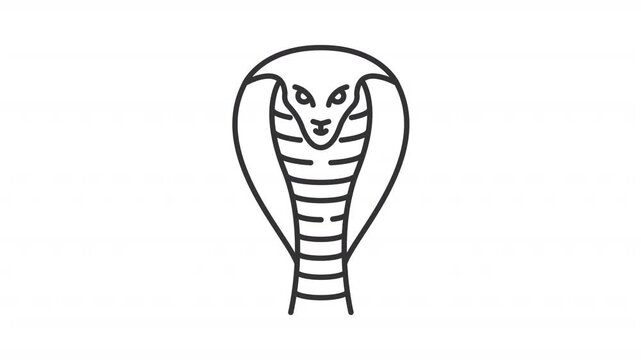 Black mamba line animation. Snake spreading hood animated icon. Spiritual animal. Hindu mythology. Moving tongue. Poisonous wildlife. Outline element on white background. HD video with alpha channel
