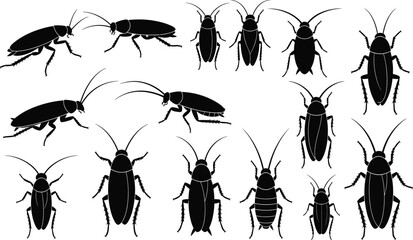 Set of cockroach insect pest silhouette vector icons, black bug collection, pest control, isolated detailed shape, entomology, home infestation illustration. © Amjad