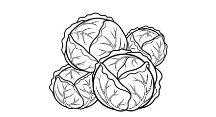 A black and white line art drawing featuring a pile of fresh, round cabbages, perfect for coloring pages or simple vegetable illustrations.