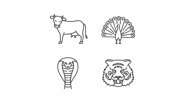 Spiritual animals line animation set. National symbols animated icons. Sacred cow. Hindu mythology, indian folklore. Outline elements on white background. HD video with alpha channel