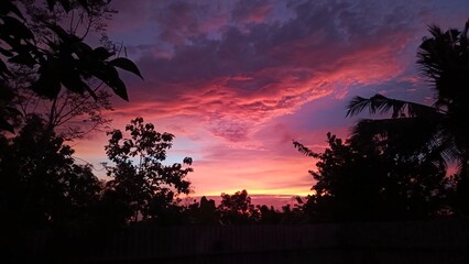 sunset in the forest