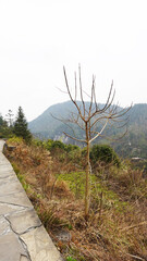 Landscape in Dehang Grand Canyon, A scenic view of the Dehang Grand Canyon area near the Aizhai Bridge in Hunan China, 