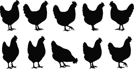 Farm chicken or hen silhouettes collection in various poses, standing and pecking, poultry farming and domestic bird icons vector set.