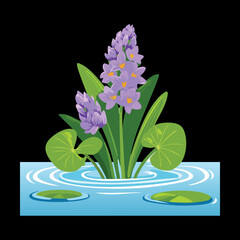 Two Water Hyacinth Plants with Purple Flowers Floating on Still Water