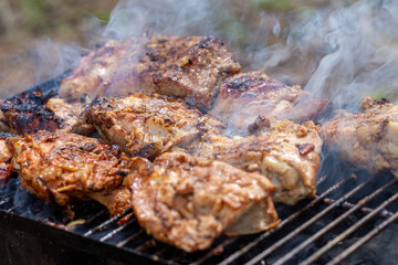 Marinated chicken thighs sizzling on a portable barbecue grate. An appetizing close-up of multiple pieces of marinated chicken thighs grilling on a hot, smoky, black wire grate of a portable barbecue.