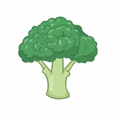 Cartoon illustration of fresh green broccoli florets isolated