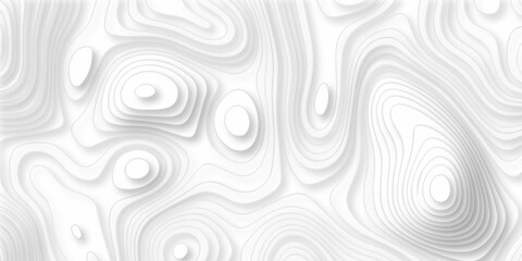 Abstract topography pattern seamless lines sea map modern design white background. Abstract digital topographic contour map concept space geometric strip grid line. Natural discovery of maps.	