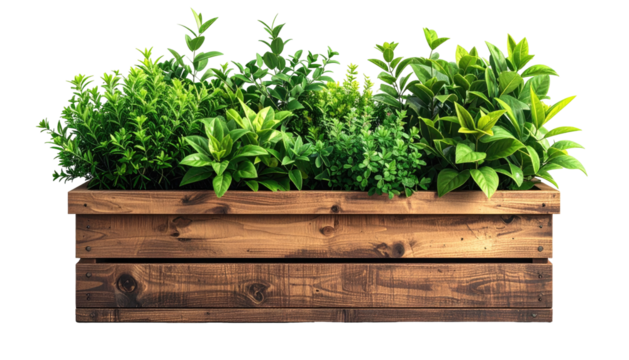 Herbs in wooden planter box, lush and green against black bg - Powered by Adobe