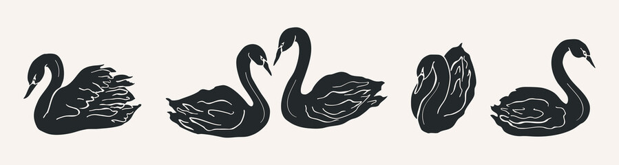 Flat vector doodle swans drawing