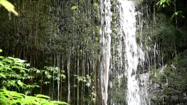 Gitgit waterfall in Buleleng regency of Bali