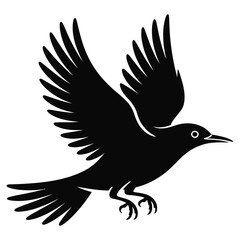 Silhouette of a black bird in flight on white background Keywords: bird, flying, silhouette
