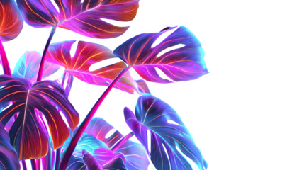 Neon Monstera Leaves, isolated on transparent background