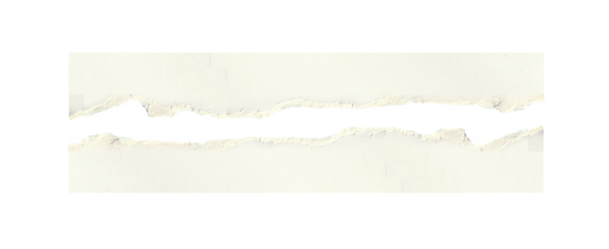 torn blank pages with uneven texture edges. set of ripped white paper sheets png isolated on transparent background.