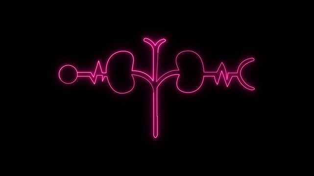 Neon Urology Icon with Kidney Outline and Heartbeat Wave animation on the black background.