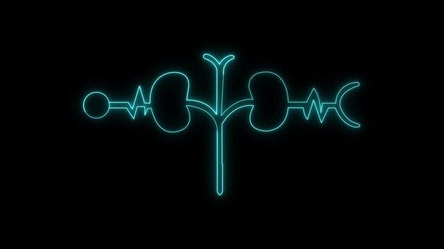 Neon Urology Icon with Kidney Outline and Heartbeat Wave animation on the black background.