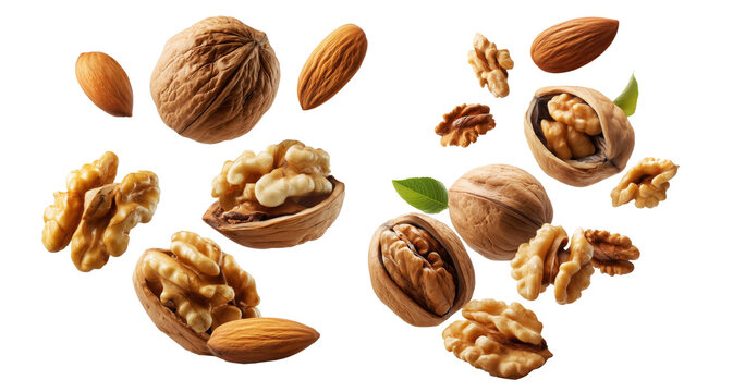 Whole and cracked walnuts with almonds and fresh green leaves, isolated on white background, concept of healthy eating