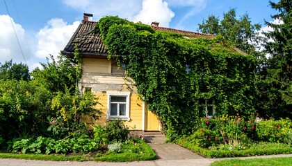 Charming house facade covered in lush green ivy.