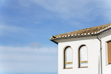 Crow perched on clay tile roof with gutter beside arched windows, white mediterranean wall and clear blue sky, calm and minimalistic