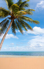 Fototapeta premium Paradise Sunny beach with palms and turquoise sea. Summer vacation and tropical beach concept - Cancun, Mexico