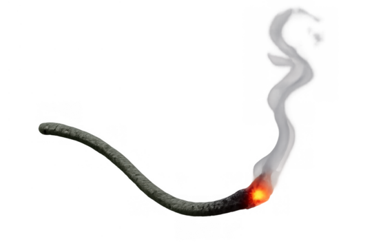 Fuse burning, glowing red and smoking on transparent background, representing danger, explosion, ignition, and urgency