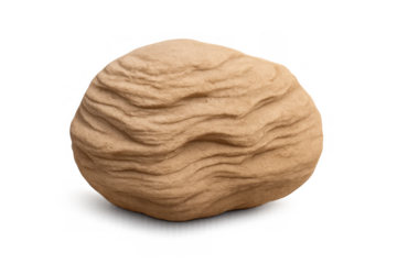 Sandstone rock with eroded layered texture displaying natural geology and weathering on a transparent background