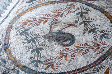 Ancient roman mosaic on the floor