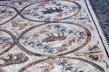 Ancient roman mosaic on the floor